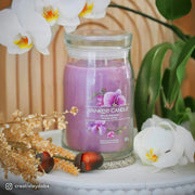 Yankee Candle Wild Orchid Large Jar Candle 567g – Two Wick Glass Jar Floral Fragrance