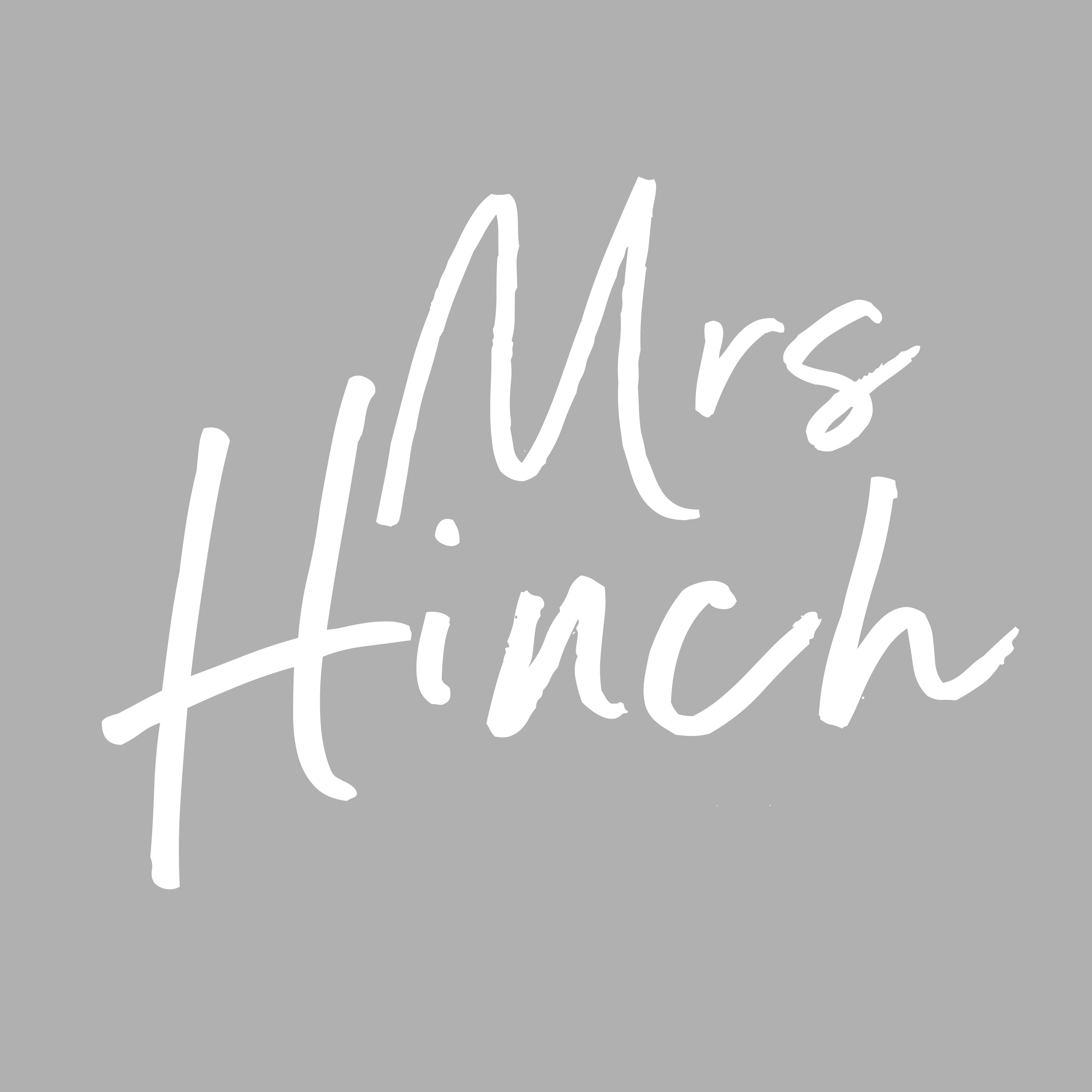 Mrs Hinch Home Store